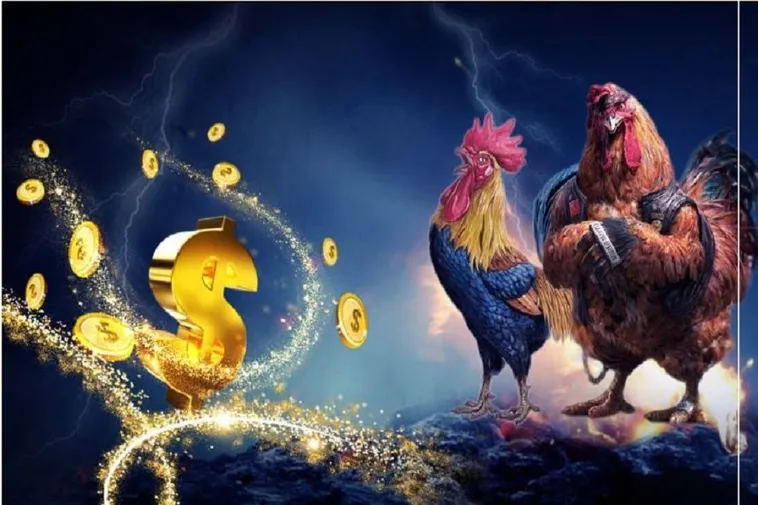 Hướng Dẫn Cách Chơi Đá Gà WS168 Tại S666 Để Tối Ưu Thắng Lợi 2 Hướng Dẫn Cách Chơi Đá Gà WS168 Tại S666 Để Tối Ưu Thắng Lợi